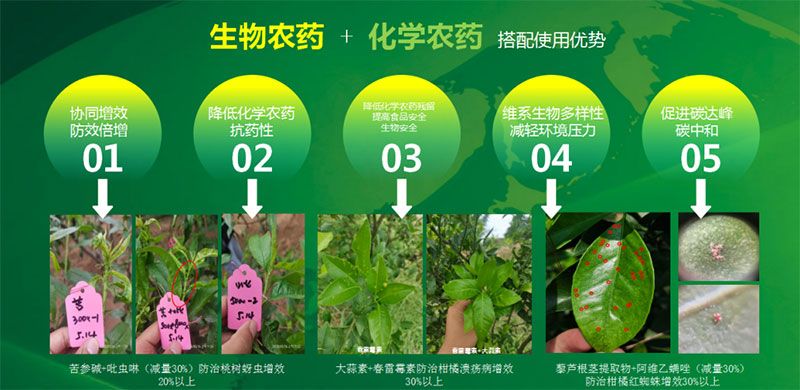 新朝陽在第六屆中國農藥行業市場和銷售高峰論壇做“生物農藥+化學農藥,引領植保市場未來”主題報告