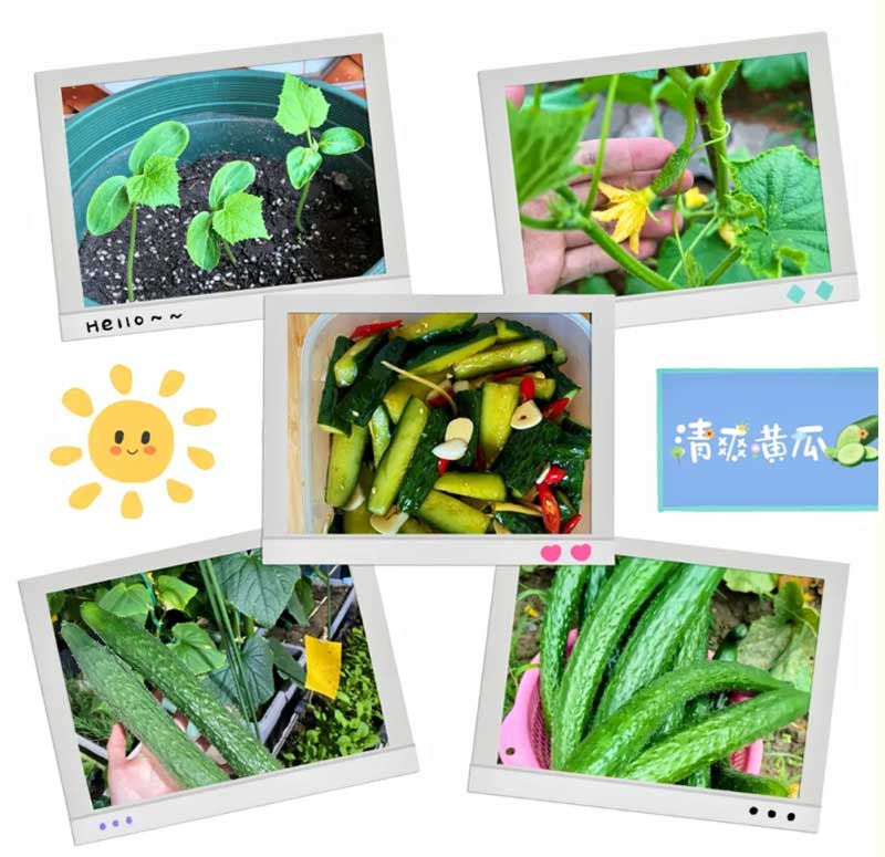 朝陽農藝師系列活動