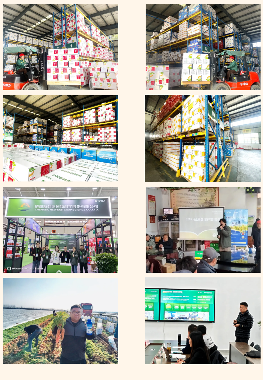 快馬加鞭戰春耕，馬年奮進正當時